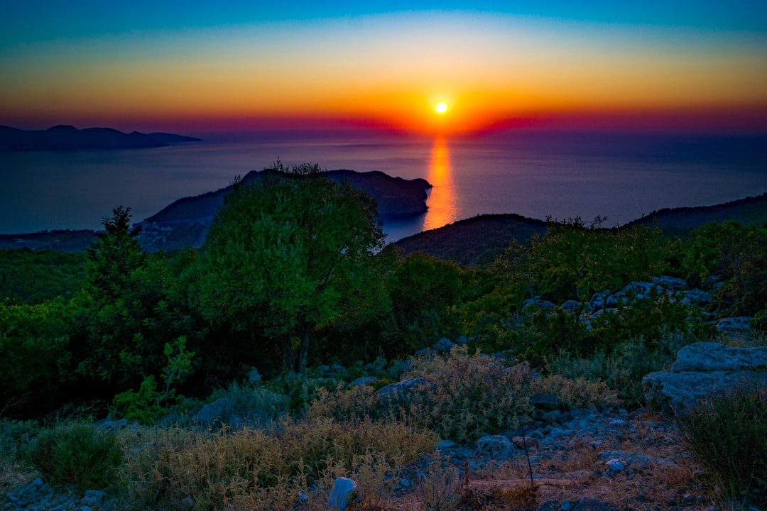 trees-near-sea-during-golden-hour-gUq-NT6jfdY.jpg